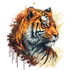 Tiger Illustration