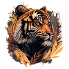 Tiger from India