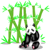 BAMBU PANDA