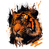 Tiger showing Teeth