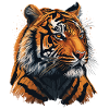 Detailed Tiger Illustration
