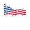 Czech Republic Flag