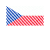 Czech Republic Flag