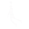 Basket-ball