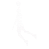 Basket-ball