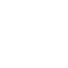 Secret Insurance Things