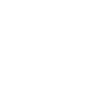 Insurance Secret agent