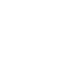 Insurance Genius Mind