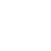 Insurance Squad