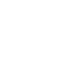 Xi jinping step down
