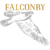Fauconnerie Faucon pèlerin