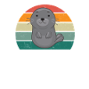foche foca foca nuoto foca orecchiata foca