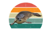 sæler sæler svømmende eared seal seal
