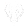 Saber tooth cat