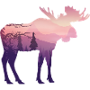 Moose