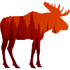 Moose