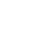 Spinosaurus est mon animal spirituel