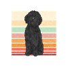 Chien Doodle Black Goldendoodle