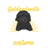 Black Goldendoodle Doodle Dog