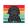 Chien Doodle Black Goldendoodle