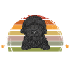 Chien Doodle Black Goldendoodle