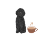 Chien Doodle Black Goldendoodle