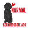 Chien Doodle Black Goldendoodle