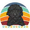 Chien Doodle Black Goldendoodle