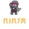 Developer Coder Programmer Ninja