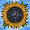 Handpan mit Sonnenblume