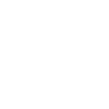 2010 Skull