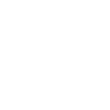 2005 Skull