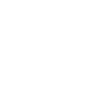 Skull 2004