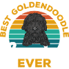 Black Goldendoodle Doodle Dog
