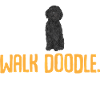 Chien Doodle Black Goldendoodle