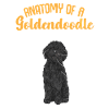 Chien Doodle Black Goldendoodle