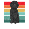 Chien Doodle Black Goldendoodle