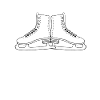 Ice skating dog