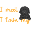 Chien Doodle Black Goldendoodle