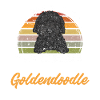 Chien Doodle Black Goldendoodle