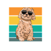 Cockapoo Dog