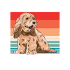 Cockapoo Chien