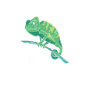 Caméléon Accueil Caméléon