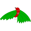 Chilliman farbig