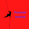 Forever evolve red purpel