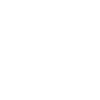 2016 Skull