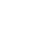 2020 Skull
