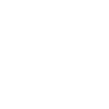 2015 Skull