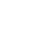 2017 Skull