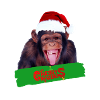 Affe mit grün